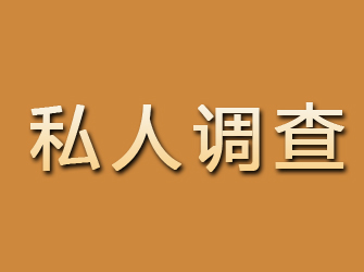 津市私人调查